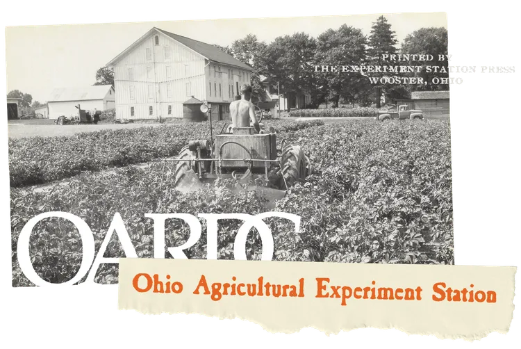 Research, Design, Fonts: The Journey to Midwest Type