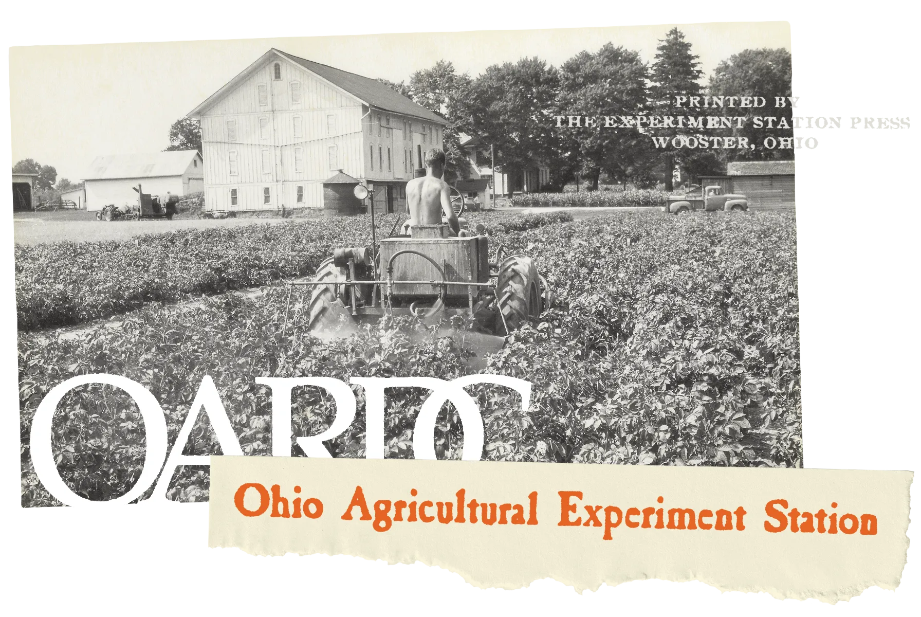 Collage of a worker spraying crops at the Snyder Farm, with OARDC lettering and an Ohio Agricultural Experiment Station label